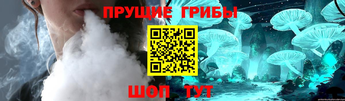 Дедовск  Галлюциногенные грибы Psilocybine cubensis  Вход с VPN 