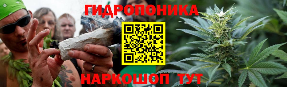 Конопля марихуана Дедовск